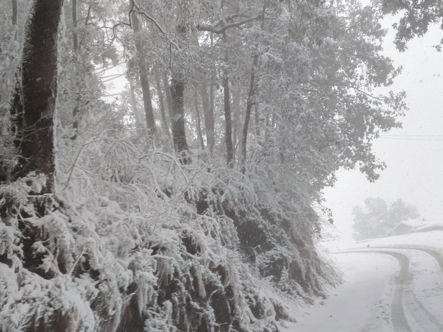 Winter magical moments